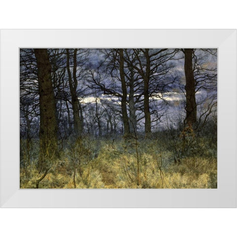 The Woods at Dusk White Modern Wood Framed Art Print by Garden, William Fraser