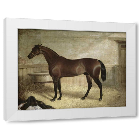 The Winner White Modern Wood Framed Art Print by Herring, John Frederick