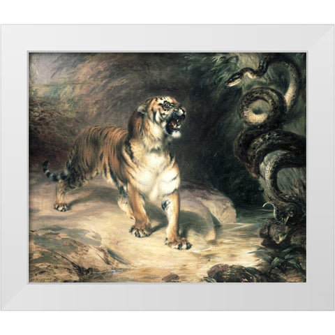 Tiger Confronting a Snake by a Stream White Modern Wood Framed Art Print by Huggins, William