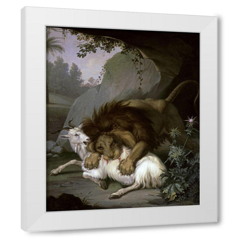A Lion Attacking a Goat White Modern Wood Framed Art Print by Peter, Wenzel