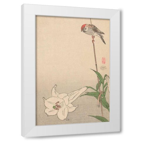 Small bird on lily plant., 1893 White Modern Wood Framed Art Print by Baison