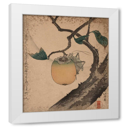 Grasshopper eating persimmon, 1850 White Modern Wood Framed Art Print by Hokusai