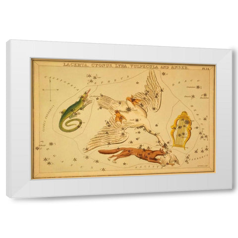 Lacerta, Cygnus, Lyra, Vulpecula and Anser, 1825 White Modern Wood Framed Art Print by Aspin, Jehoshaphat