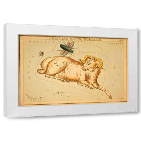 Aries and Musca Borealis, 1825 White Modern Wood Framed Art Print by Aspin, Jehoshaphat