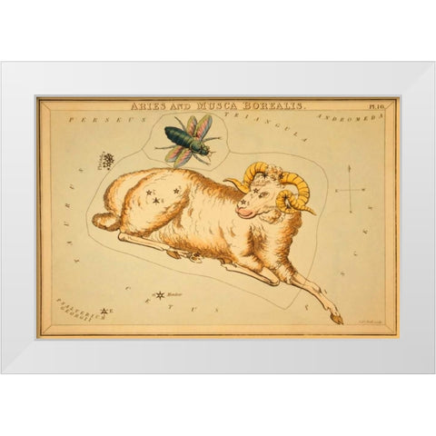 Aries and Musca Borealis, 1825 White Modern Wood Framed Art Print by Aspin, Jehoshaphat