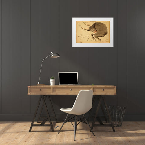 Taurus the Bull, 1825 White Modern Wood Framed Art Print by Aspin, Jehoshaphat