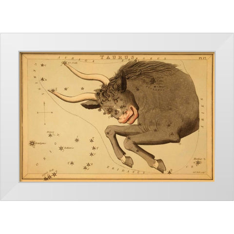 Taurus the Bull, 1825 White Modern Wood Framed Art Print by Aspin, Jehoshaphat