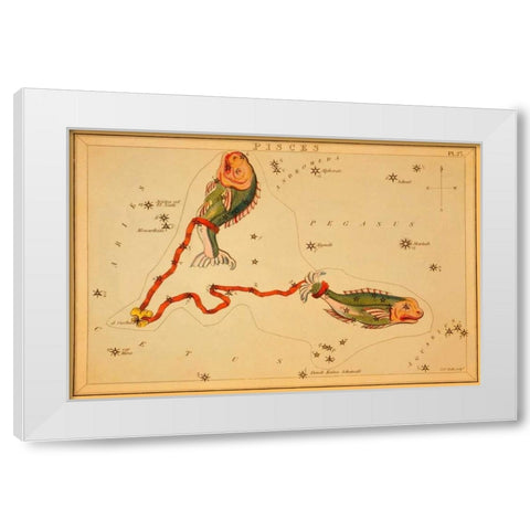 Pisces, 1825 White Modern Wood Framed Art Print by Aspin, Jehoshaphat