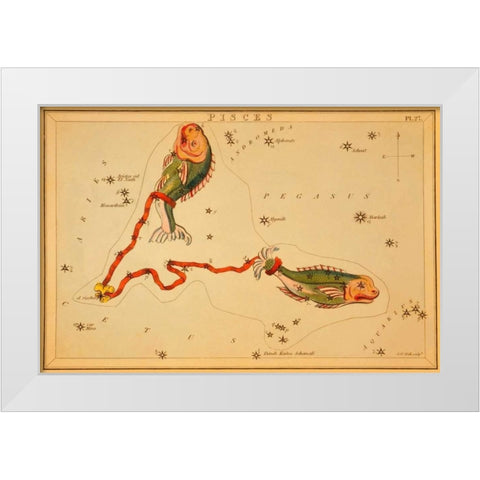 Pisces, 1825 White Modern Wood Framed Art Print by Aspin, Jehoshaphat