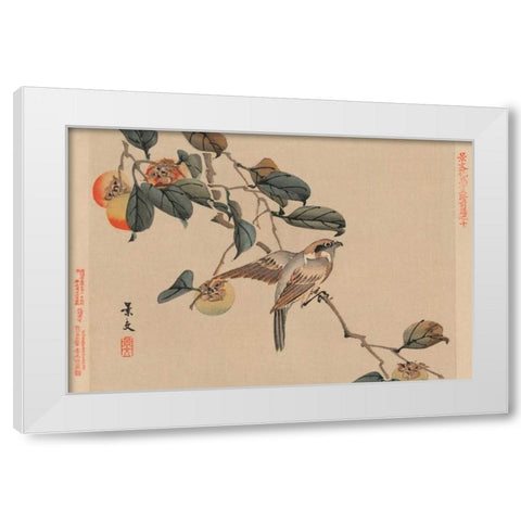 Bird perched on a branch from a fruit persimmon tree., 1892 White Modern Wood Framed Art Print by Matsumura, Keibun