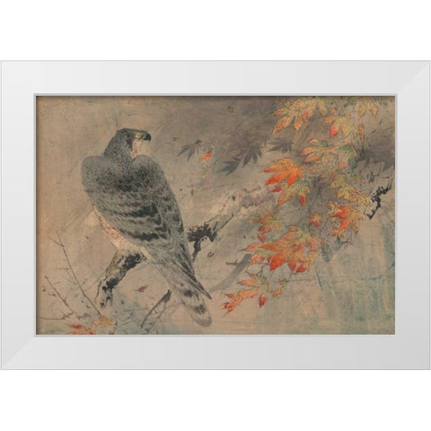 Eagle on a maple branch White Modern Wood Framed Art Print by Unknown