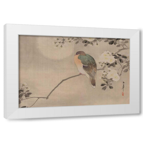 Robin sitting on a Tree Branch White Modern Wood Framed Art Print by Unknown