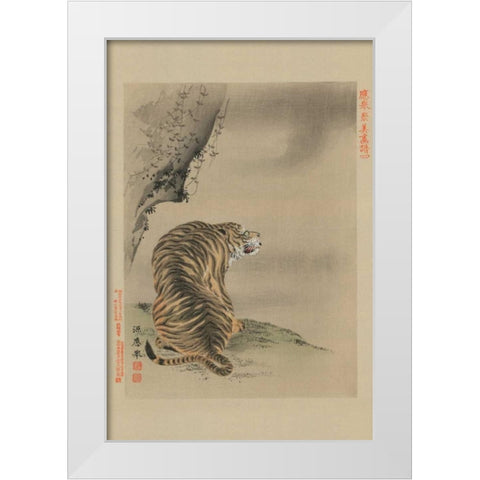 Tiger White Modern Wood Framed Art Print by Unknown