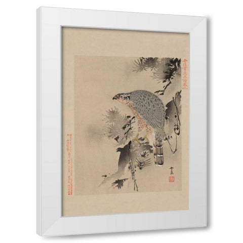 Hawk White Modern Wood Framed Art Print by Unknown