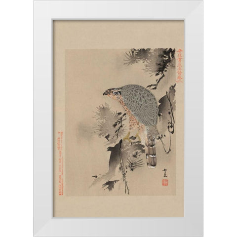 Hawk White Modern Wood Framed Art Print by Unknown