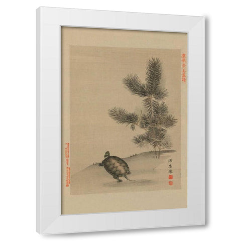 Turtle White Modern Wood Framed Art Print by Unknown