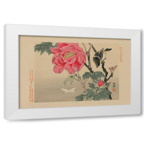 Bird watching a Butterfly White Modern Wood Framed Art Print by Unknown