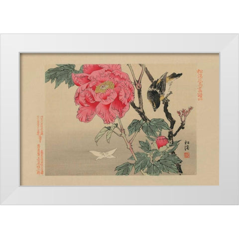 Bird watching a Butterfly White Modern Wood Framed Art Print by Unknown