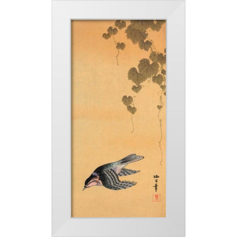 Small bird and grapes White Modern Wood Framed Art Print by Unknown