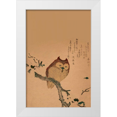 Owl of Branch White Modern Wood Framed Art Print by Unknown