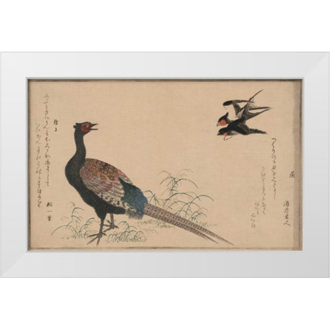Pheasant White Modern Wood Framed Art Print by Unknown