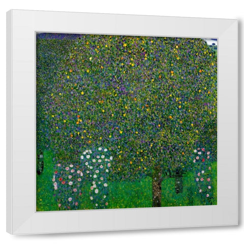 Roses Under Trees 1904 White Modern Wood Framed Art Print by Klimt, Gustav