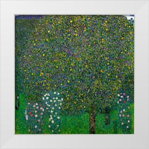 Roses Under Trees 1904 White Modern Wood Framed Art Print by Klimt, Gustav