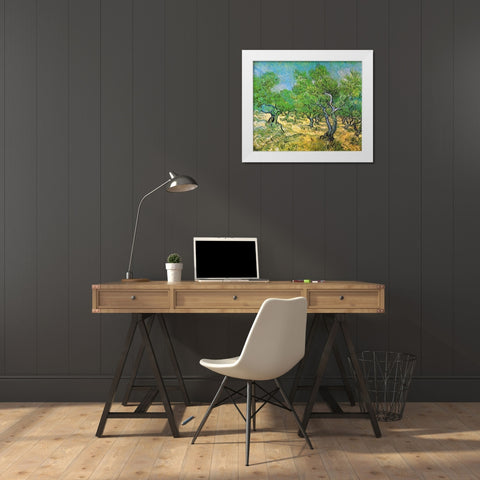 Olive Grove White Modern Wood Framed Art Print by Van Gogh, Vincent