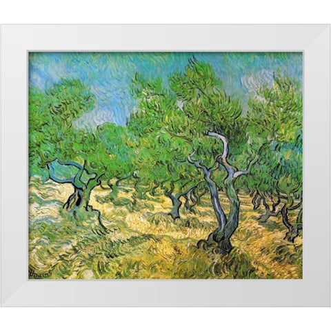 Olive Grove White Modern Wood Framed Art Print by Van Gogh, Vincent