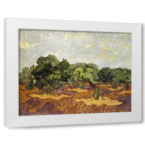 Olive Grove Pale Blue Sky White Modern Wood Framed Art Print by Van Gogh, Vincent