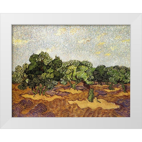 Olive Grove Pale Blue Sky White Modern Wood Framed Art Print by Van Gogh, Vincent
