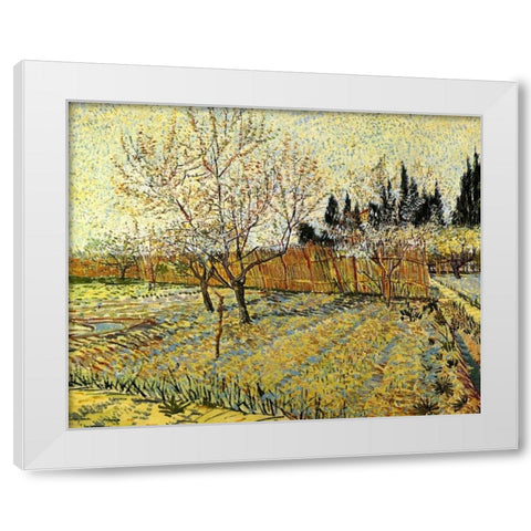 Orchard Springtime White Modern Wood Framed Art Print by Van Gogh, Vincent