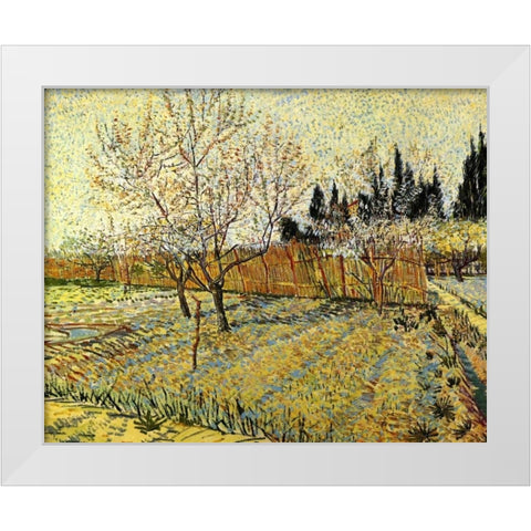 Orchard Springtime White Modern Wood Framed Art Print by Van Gogh, Vincent
