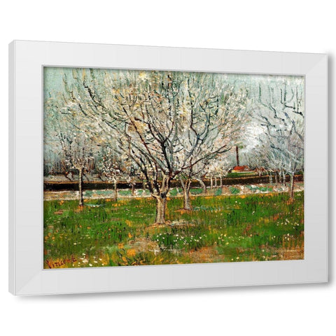 Plum Trees In Blossom White Modern Wood Framed Art Print by Van Gogh, Vincent