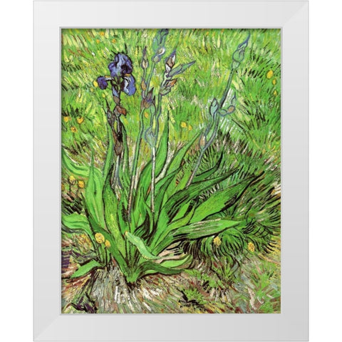 The Iris White Modern Wood Framed Art Print by Van Gogh, Vincent