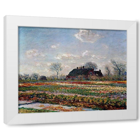 Tulip Field Sassenheim White Modern Wood Framed Art Print by Van Gogh, Vincent