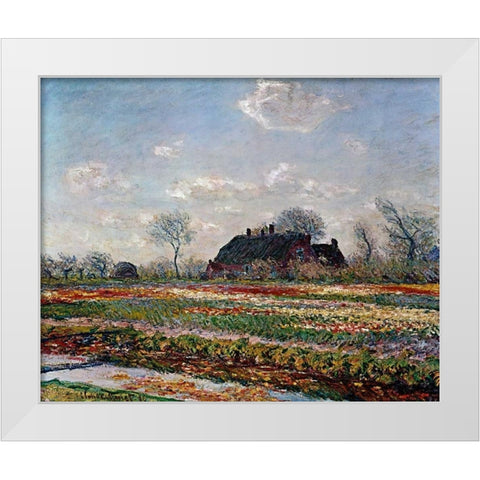 Tulip Field Sassenheim White Modern Wood Framed Art Print by Van Gogh, Vincent