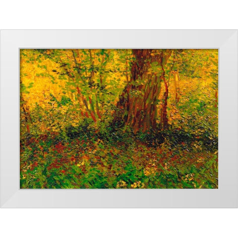 Undergrowth 3 White Modern Wood Framed Art Print by Van Gogh, Vincent