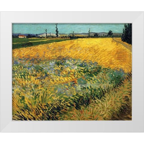 Wheatfield 1888 White Modern Wood Framed Art Print by Van Gogh, Vincent