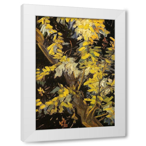 Blossoming Acacia Branches White Modern Wood Framed Art Print by Van Gogh, Vincent