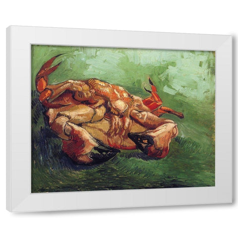 Crab On His Back White Modern Wood Framed Art Print by Van Gogh, Vincent