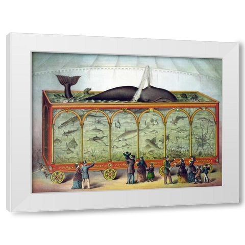 Aquarium White Modern Wood Framed Art Print by Gibson and Co.