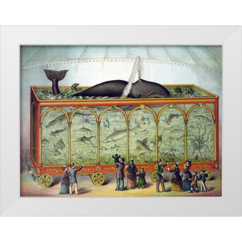 Aquarium White Modern Wood Framed Art Print by Gibson and Co.