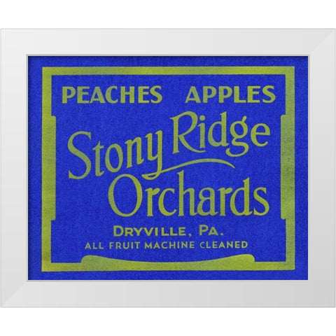 Stony Ridge Orchards Peaches and Apples White Modern Wood Framed Art Print by Unknown