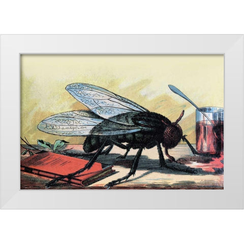Fly White Modern Wood Framed Art Print by Unknown