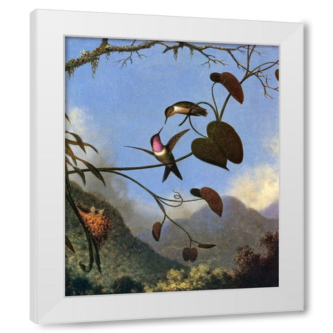 Amethyst Woodstar White Modern Wood Framed Art Print by Heade, Martin Johnson