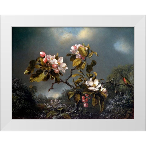 Apple Blossom And Hummingbird White Modern Wood Framed Art Print by Heade, Martin Johnson