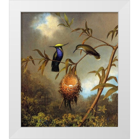Black Breasted Plovercrest White Modern Wood Framed Art Print by Heade, Martin Johnson
