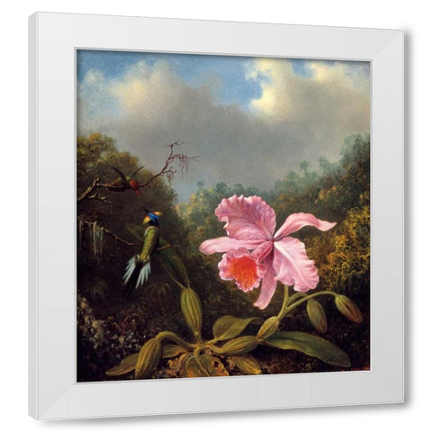 Fighting Hummingbirds With Pink Orchid White Modern Wood Framed Art Print by Heade, Martin Johnson