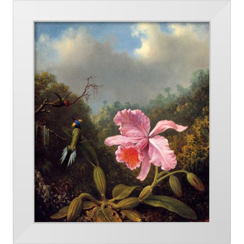 Fighting Hummingbirds With Pink Orchid White Modern Wood Framed Art Print by Heade, Martin Johnson